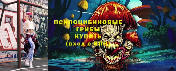 бошки Алексин