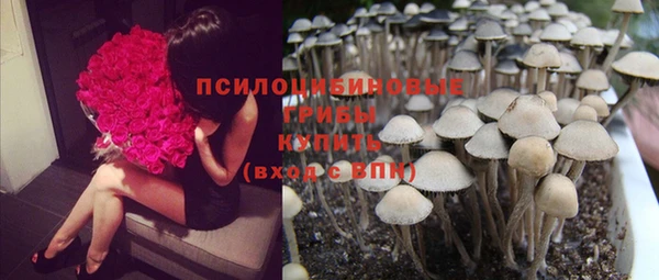 бошки Алексин