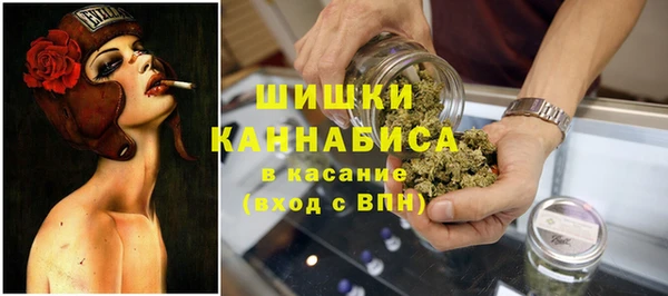 бошки Алексин